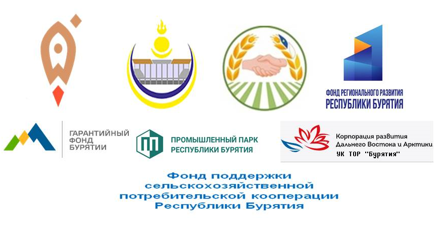 Заключение о результатах проведения экспертно-аналитического мероприятия «Анализ эффективности деятельности основных региональных институтов развития в сфере малого и среднего предпринимательства»
